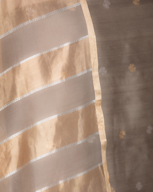 Ash Taupe Banarasi Silk Set