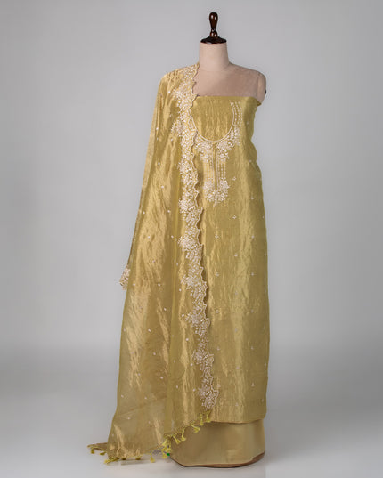 Golden Mist Tissue Parsi Work Suit Set